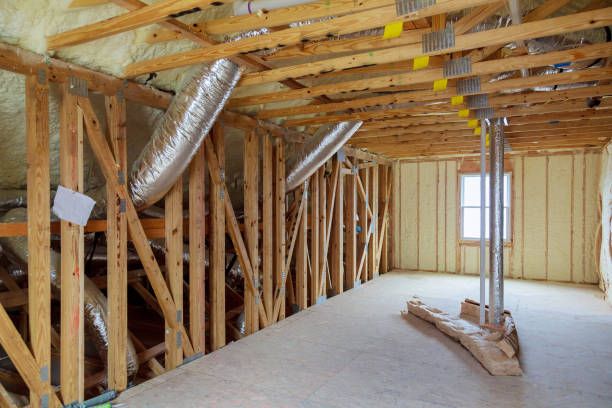 Best Insulation Repair Services  in Mandeville, LA
