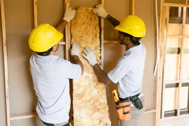 Best Insulation Contractors for Homes  in Mandeville, LA